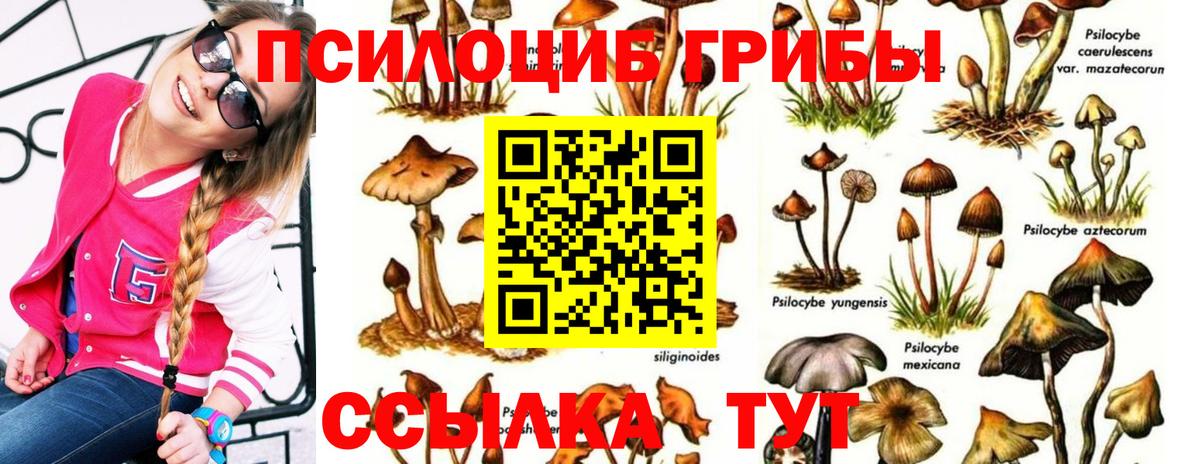 Таганрог  Галлюциногенные грибы Magic Shrooms  Псилоцибиновые грибы MAGIC MUSHROOMS  Вход с VPN 